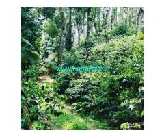 19.11 acre coffee estate for sale in Chikkamagaluru