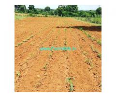 4 acres 24 guntas with 9 guntas Karab farm land for sale in Doddballapura