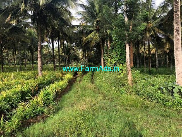 2.5 Acre Farm land For Sale In Kushalnagar 2.5 Acre Farm land For Sale In Kushalnagar