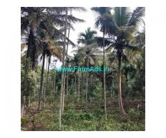 2.5 Acre Farm land For Sale In Kushalnagar 2.5 Acre Farm land For Sale In Kushalnagar