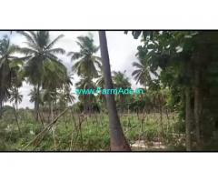 4 Acre Agriculture Land For Sale In BG pura
