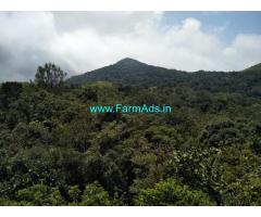 25 acre plain land sale in Mudigere
