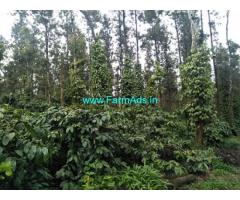 10 acre well maintained Robusta plantation for Sale near Belur