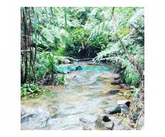 3 acre farm land for sale in Mudigere