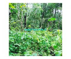 3 acre farm land for sale in Mudigere