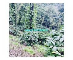 9.5 acre average maintained coffee estate for sale in Chikkamagalur
