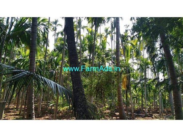 10 Acres Farm Land For Sale In Sira 10 Acres Farm Land For Sale In Sira