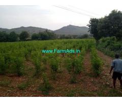 5 Acres Farm Land For Sale In Hiriyur