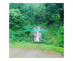 5 acre coffee estate for sale in Chikkamagalur
