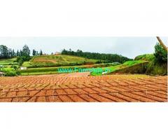 6.5 Acres Farm Land For Sale In Kookal