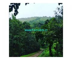 5 Acres Agriculture Land For Sale In Chikmagalur