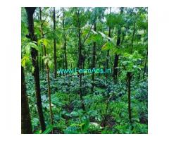 5 Acres Agriculture Land For Sale In Chikmagalur