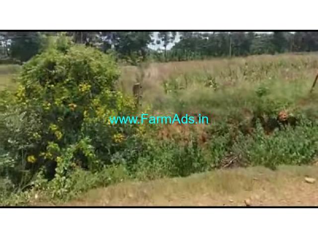8 Acres Farm Land For Sale In Chikkaluru 8 Acres Farm Land For Sale In Chikkaluru