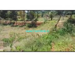 8 Acres Farm Land For Sale In Chikkaluru 8 Acres Farm Land For Sale In Chikkaluru