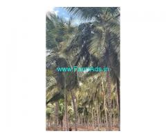 5 Acres Farm Land For Sale In Pethapapatti