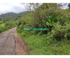 2 acre plain land for sale in Mudigere