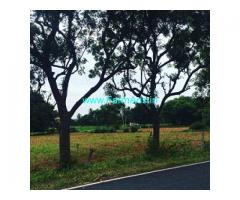 1 Acres 1 Gunta Agriculture Land For Sale In Doddabalapura