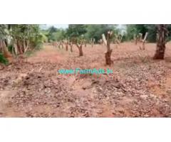 2 Acres Agriculture Land For Sale In Anantapur
