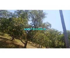 2.5 Acres Agriculture Land For Sale In Vollore