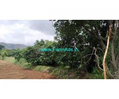 4 Acres 6 Gunte  Agriculture Land For Sale In Kanakapura