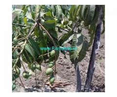 22 Cent Farm Land For Sale In Ongur