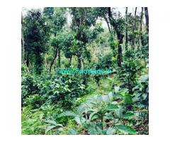 3.5  Acres Farm Land For Sale In Sakleshpura
