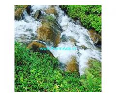 3.5  Acres Farm Land For Sale In Sakleshpura