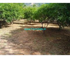 10 Acres Agriculture Land For Sale In Chemmanampathy