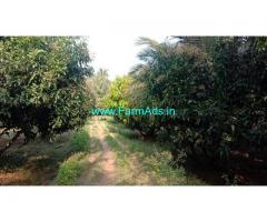 10 Acres Agriculture Land For Sale In Chemmanampathy