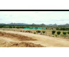 24 Acres Farm Land For Sale In Marriguda