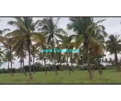 5 Acres Farm Land For Sale In Heggadehalli 5 Acres Farm Land For Sale In Heggadehalli