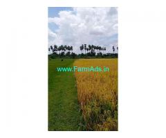 14 Acres Agriculture Land For Sale In Melmaruvathur