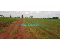 5 Acers Agriculture Land For Sale In Humnabad