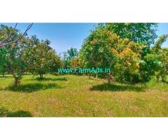 5.2 Acres Farm Land For Sale In Tiruvellore near Chennai Tirupati highway