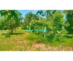 5.2 Acres Farm Land For Sale In Tiruvellore near Chennai Tirupati highway