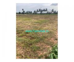 1 Acers Agriculture Land For Sale In Kudimangalam