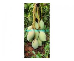 27 Acres Farm House For Sale In Periyakulam