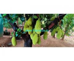 27 Acres Farm House For Sale In Periyakulam