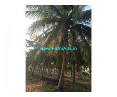 12 Acers Farm Land For Sale In Sravanahalli