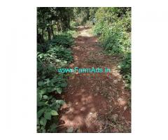 1 Acres 30 Guntas Farm Land For Sale In Chikmagalur