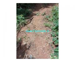 1 Acres 30 Guntas Farm Land For Sale In Chikmagalur