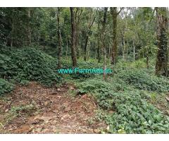 1 Acres 30 Guntas Farm Land For Sale In Chikmagalur