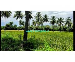 Agriculture punjai 20 acre Patta Land for Sale near Maduranthagam