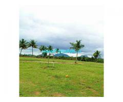 2.5 Guntas Farm Land For Sale In Dodaballapura