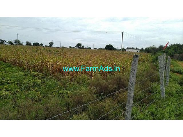 Agriculture land near Sira for Sale 3 acres Agriculture land near Sira for Sale 3 acres