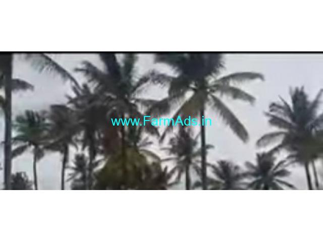 5 Acres Agriculture Land For Sale In Heggadehalli 5 Acres Agriculture Land For Sale In Heggadehalli