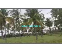 5 Acres Agriculture Land For Sale In Heggadehalli 5 Acres Agriculture Land For Sale In Heggadehalli