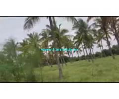 5 Acres Agriculture Land For Sale In Heggadehalli 5 Acres Agriculture Land For Sale In Heggadehalli