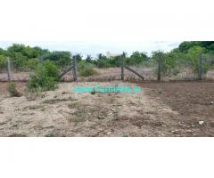 51 Cent Agriculture Land For Sale In Saravananpatti