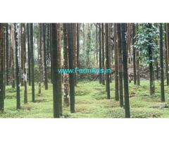 15 Acres Farm Land For Sale In Moodbidri